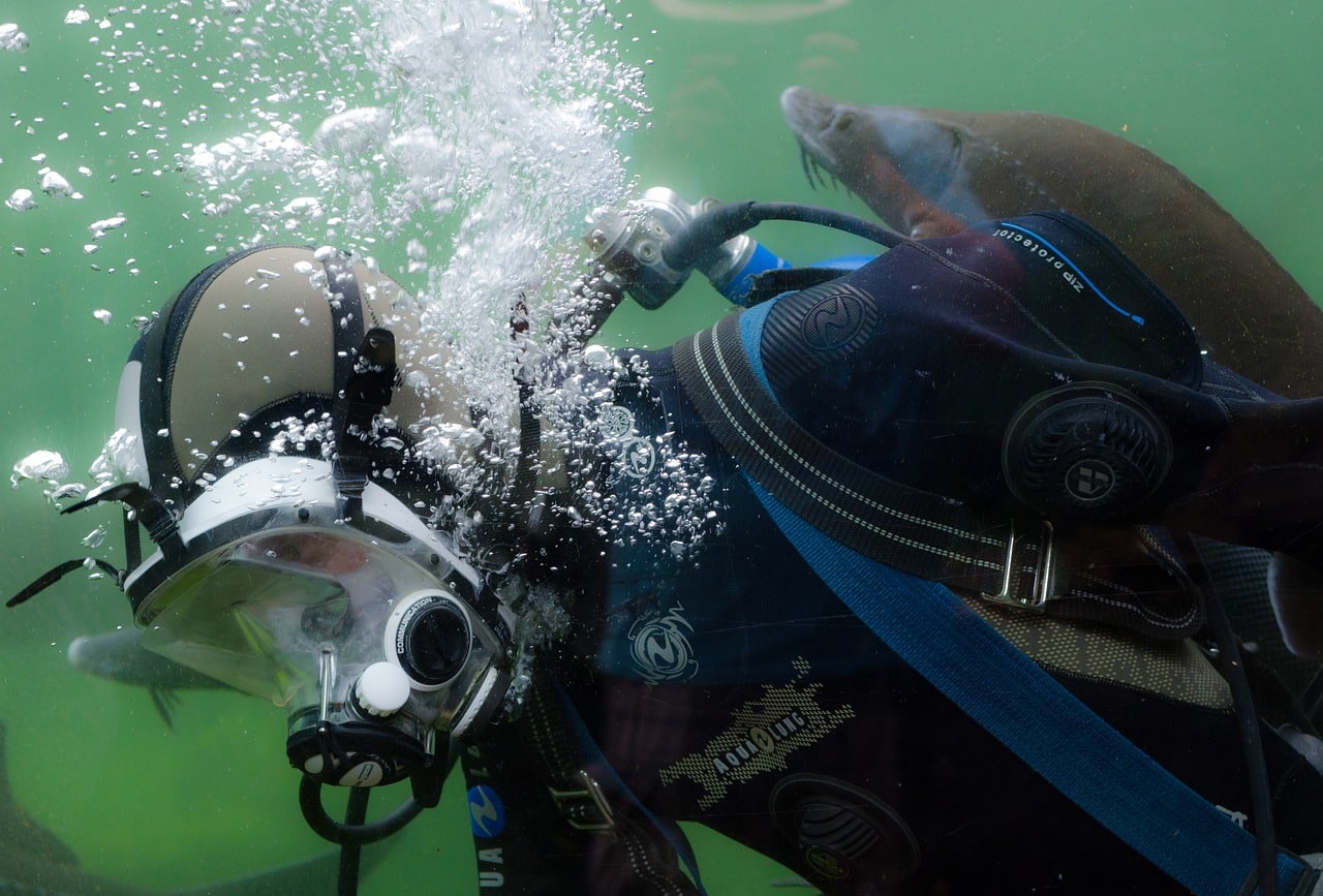 découvrez les merveilles sous-marines avec notre guide complet sur le snorkeling. plongée dans une expérience inoubliable de snorkeling dans les plus belles destinations, avec des conseils pratiques, des équipements recommandés et des astuces pour profiter pleinement de votre aventure aquatique.